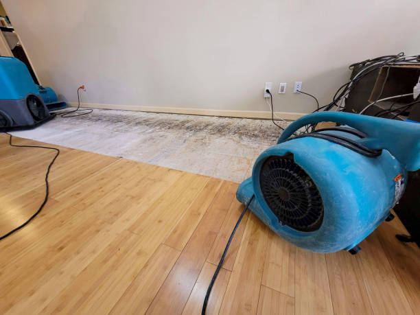 Professional Basement Flood Cleanup technician working in Superior, NE